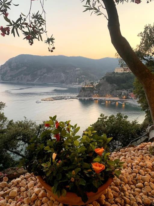 Historic Downtown Home By The Sea With King Bed Monterosso al Mare Zewnętrze zdjęcie