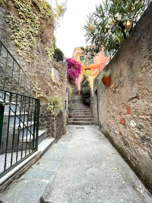 Historic Downtown Home By The Sea With King Bed Monterosso al Mare Zewnętrze zdjęcie