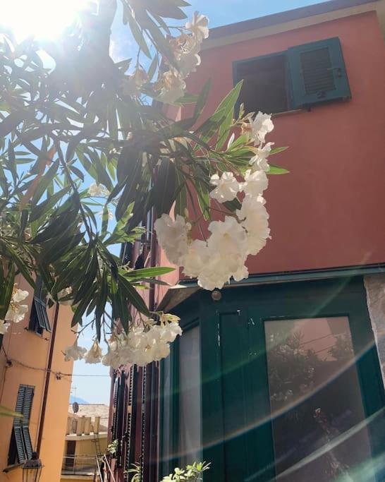 Historic Downtown Home By The Sea With King Bed Monterosso al Mare Zewnętrze zdjęcie