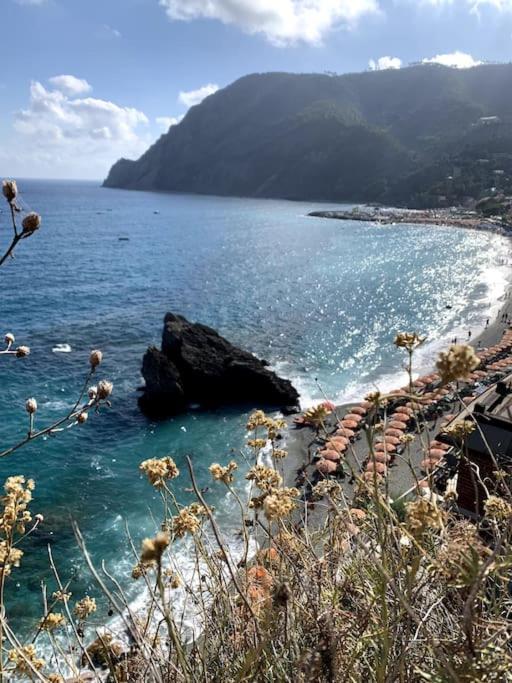 Historic Downtown Home By The Sea With King Bed Monterosso al Mare Zewnętrze zdjęcie
